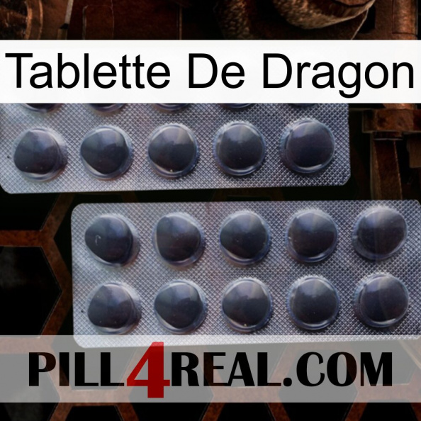 Dragon Tablet 31